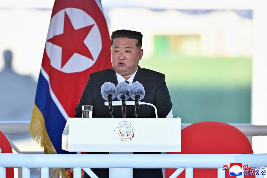 Korean Central News Agency/Korea News Service via AP, file